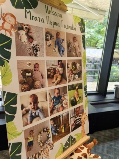 Украса на тема Сафари 